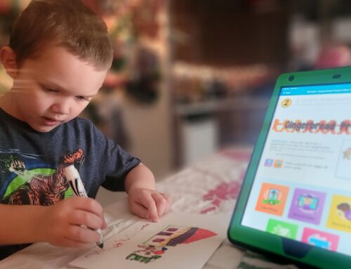 What Is a Cyber Charter School? Understanding Online Public Education